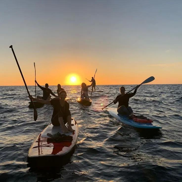 Paddle Board